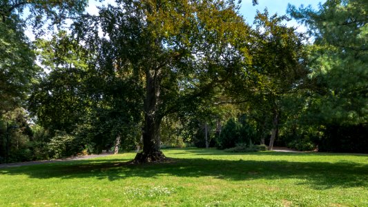Wien 19 Wertheimsteinpark a
