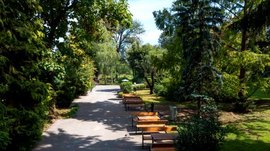 Wien 19 Wertheimsteinpark c