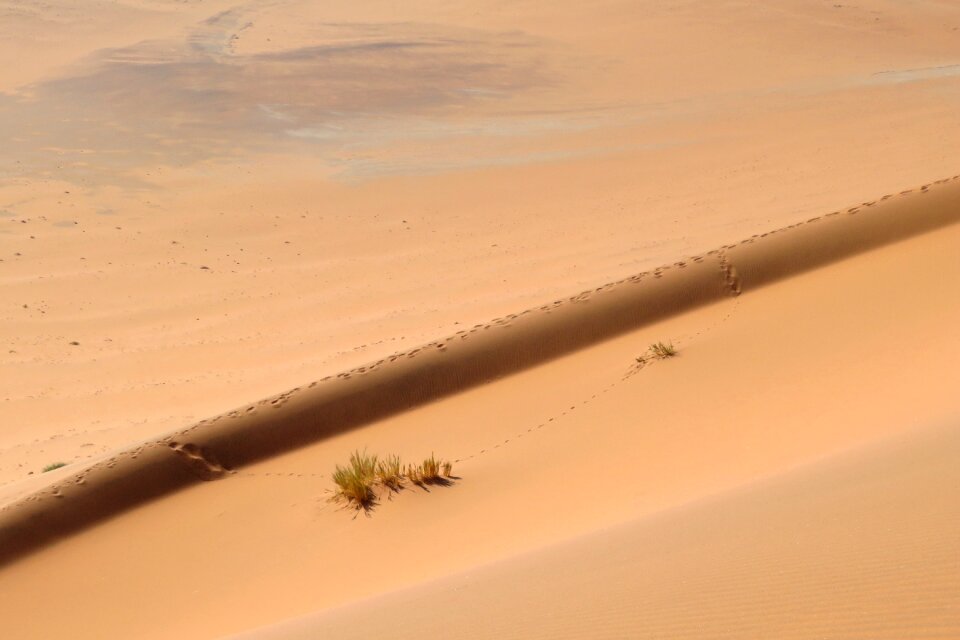 Screen desert traces