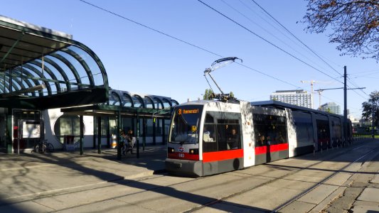 Wien Linie 31 01 Schottenring a