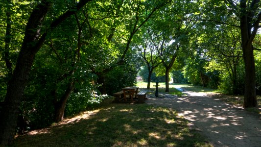 Wien 13 Anna-Freud-Park a