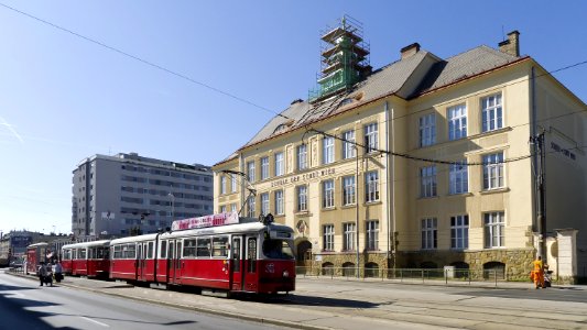 Wien Linie 31 19 Großjedlersdorf a