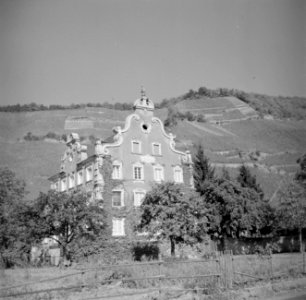 Wijngoed Mönchhof in Ürzig, Bestanddeelnr 254-4111