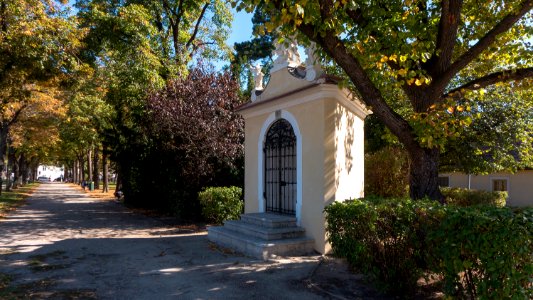 Wien 11 Trpinpark c