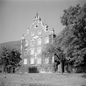 Wijngoed Mönchhof in Ürzig, Bestanddeelnr 254-4110