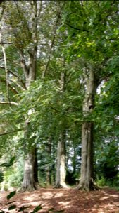 Wijlre-Kasteel Cartils (23)