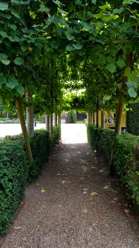 Wijlre-Kasteel Cartils (68)