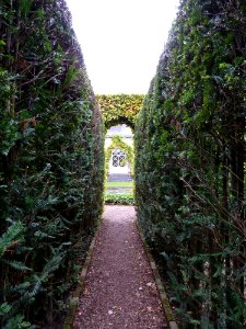 Wijlre-Kasteel Wijlre (65)