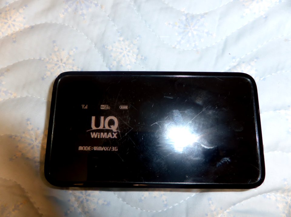 Wi-Fi WALKER DATA08W (2)