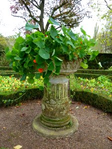 Wijlre-Kasteel Wijlre (42)