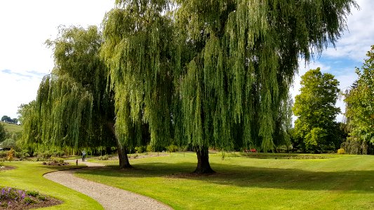 Wijlre-Kasteel Cartils (33)
