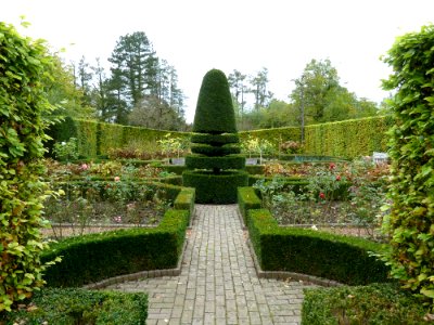 Wijlre-Kasteel Wijlre (56)