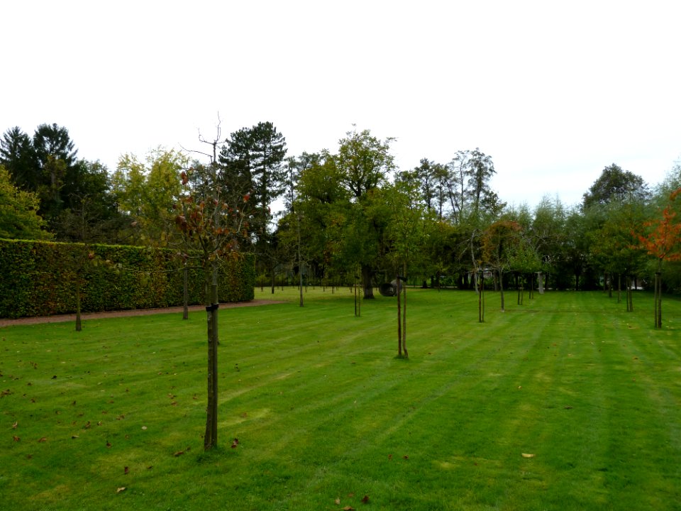 Wijlre-Kasteel Wijlre (54)