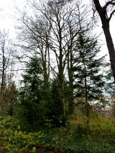 Wijlre-Kasteel Cartils (1)