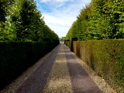 Wijlre-Kasteel Cartils (48)