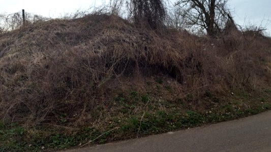 Wijlre-Industrieel monument Kalkoven Dikkebuiksweg (11)