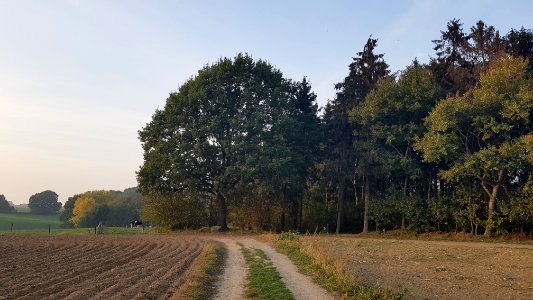 Wijlre-Het Gericht (4)