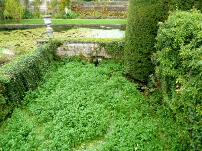 Wijlre-Kasteel Wijlre (17)