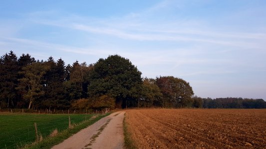 Wijlre-Het Gericht (1)