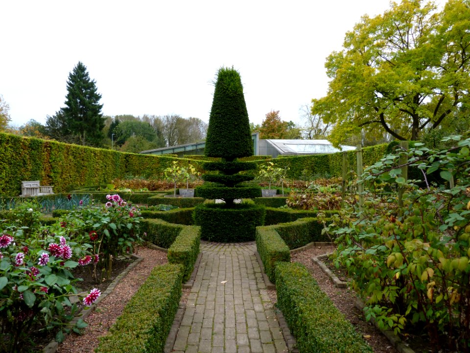 Wijlre-Kasteel Wijlre (57)