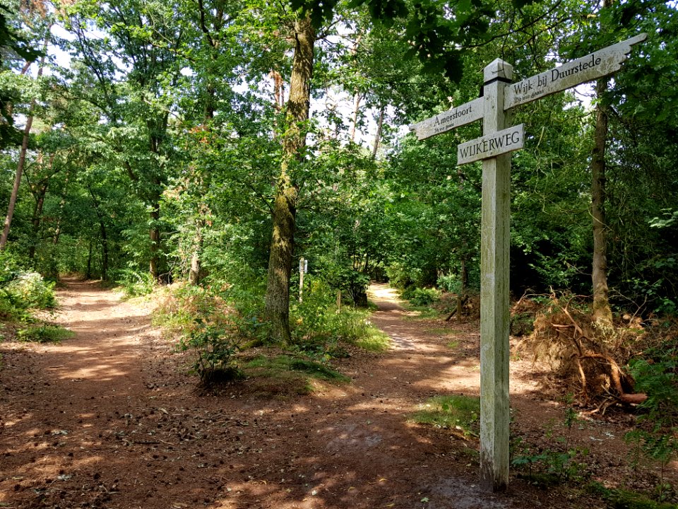 Wijkerweg de pol maarn