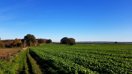 Wijlre-Stokhem-Abelschegrub (17)