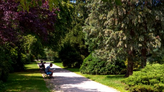 Wien 13 Schönbrunner Schlosspark ig