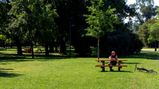 Wien 15 Auer-Welsbach-Park m