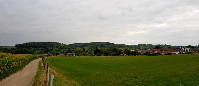 Wijlre-Wijlrebossen (4)