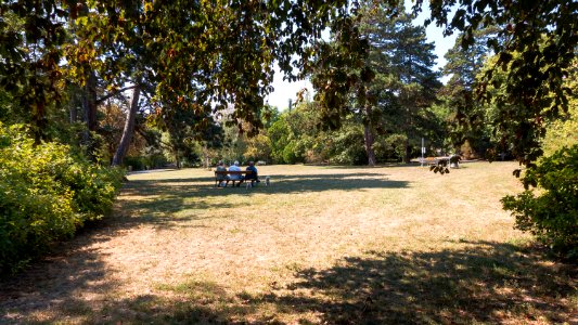 Wien 14 Steinhofer Park a