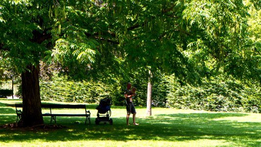 Wien 13 Schönbrunner Schlosspark id