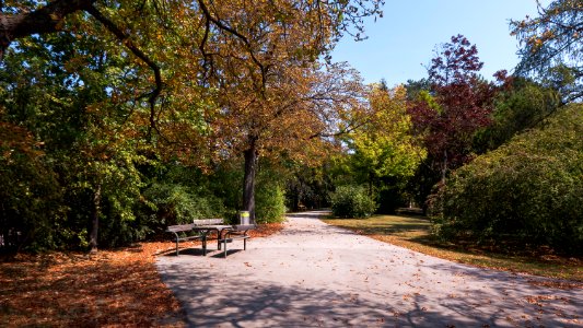 Wien 14 Steinhofer Park e