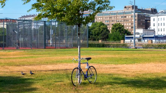 Wien 01 Jonny-Moser-Park 2021 d