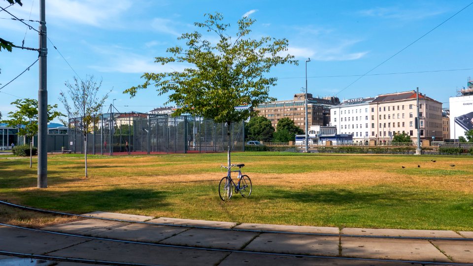 Wien 01 Jonny-Moser-Park 2021 c