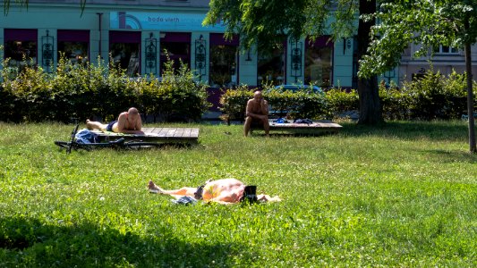 Wien 05 Bruno-Kreisky-Park 04