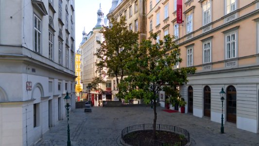 Wien 01 Desider-Friedmann-Platz a
