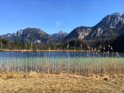 Hiking mountains forest
