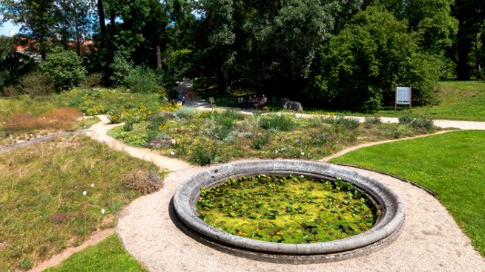 Wien 03 Botanischer Garten 01