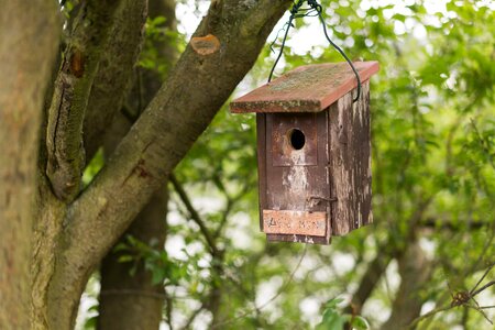 Nature shelter bird feeder