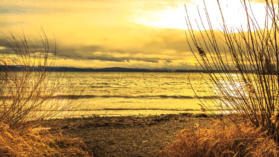 Wave nature waters