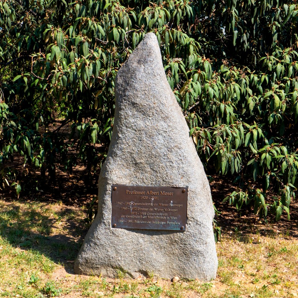 Wien 18 Währinger Schubertpark k