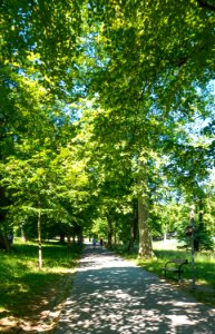 Wien 18 Pötzleinsdorfer Schlosspark 2021 c