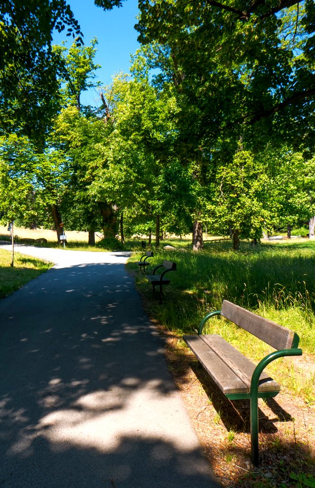 Wien 18 Pötzleinsdorfer Schlosspark 2021 d