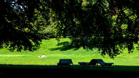 Wien 18 Türkenschanzpark fd