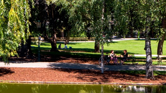 Wien 01 Stadtpark dg
