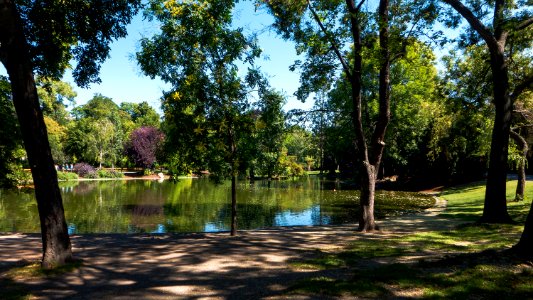 Wien 01 Stadtpark ca