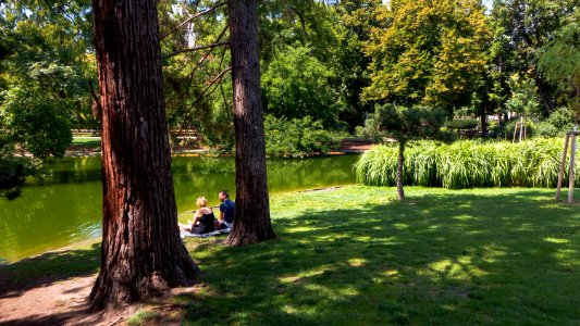 Wien 01 Stadtpark dp