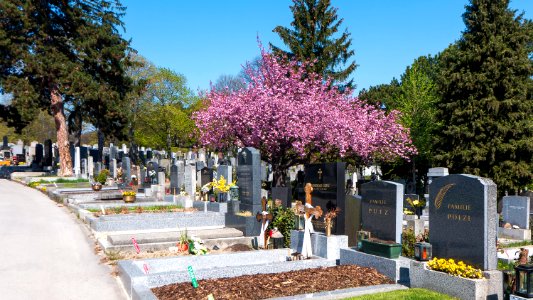 Wien 16 Ottakringer Friedhof f
