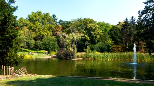 Wien 18 Türkenschanzpark ae