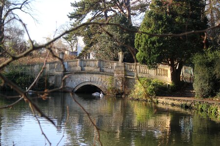 River nature bridge